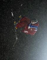 Milan Cortina Olympics: Freestyle skiing