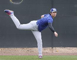 Baseball: MLB spring training