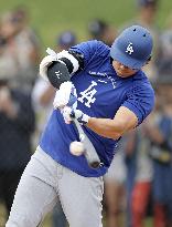 Baseball: MLB spring training