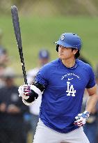 Baseball: MLB spring training