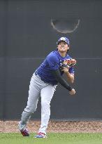 Baseball: MLB spring training