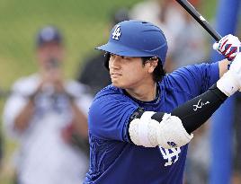 Baseball: MLB spring training