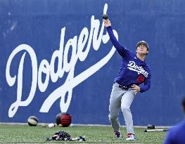 Baseball: MLB spring training