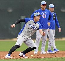 Baseball: MLB spring training