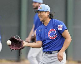 Baseball: MLB spring training