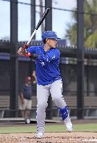 Baseball: MLB spring training