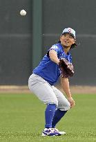 Baseball: MLB spring training