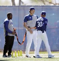Baseball: MLB spring training