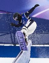 Milan Cortina Olympics: Snowboard