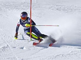 Milan Cortina Olympics: Alpine skiing