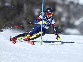 Milan Cortina Olympics: Alpine skiing
