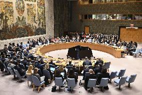 U.N. Security Council meeting on Palestine