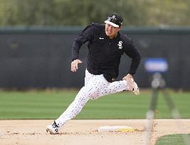 Baseball: MLB spring training