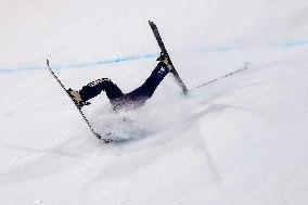 Milan Cortina Olympics: Freestyle skiing