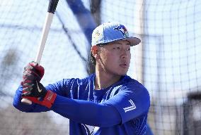 Baseball: MLB spring training