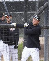 Baseball: MLB spring training