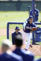 Baseball: MLB spring training