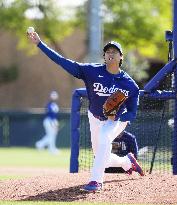 Baseball: MLB spring training