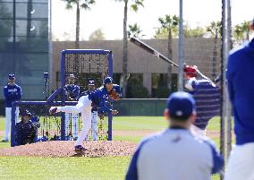Baseball: MLB spring training