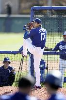 Baseball: MLB spring training