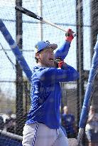 Baseball: MLB spring training