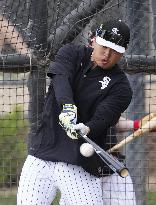 Baseball: MLB spring training