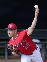 Baseball: MLB spring training