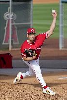 Baseball: MLB spring training