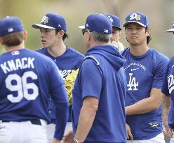 Baseball: MLB spring training