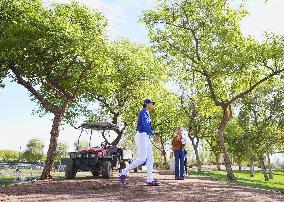 Baseball: MLB spring training