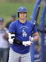 Baseball: MLB spring training