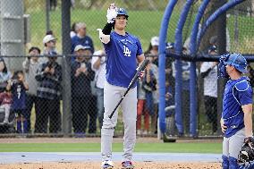 Baseball: MLB spring training