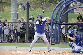 Baseball: MLB spring training