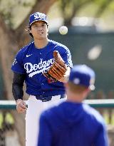 Baseball: MLB spring training