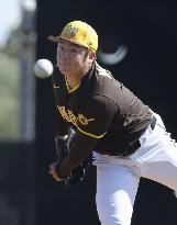 Baseball: MLB spring training