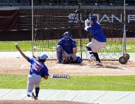 Baseball: MLB spring training