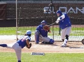 Baseball: MLB spring training