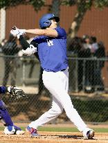 Baseball: MLB spring training