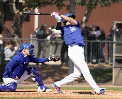 Baseball: MLB spring training