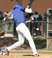 Baseball: MLB spring training