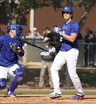 Baseball: MLB spring training