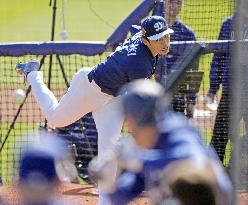 Baseball: MLB spring training