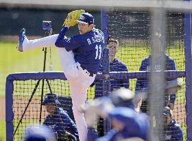 Baseball: MLB spring training