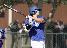 Baseball: MLB spring training