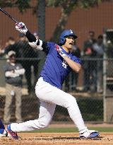 Baseball: MLB spring training