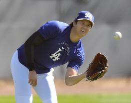 Baseball: MLB spring training