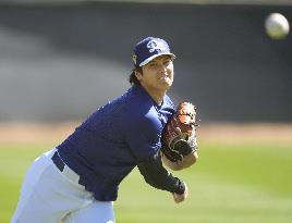 Baseball: MLB spring training