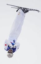 Milan Cortina Olympics: Freestyle skiing