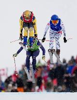Milan Cortina Olympics: Freestyle skiing