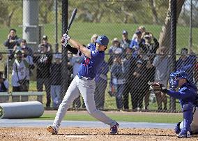 Baseball: MLB spring training